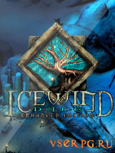  Icewind Dale Enhanced Edition