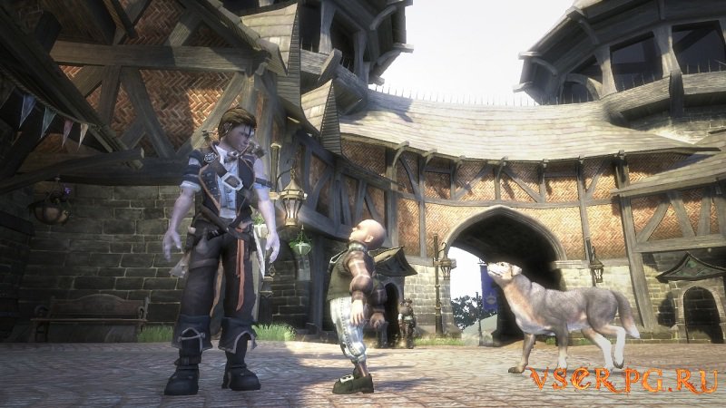 Fable 2 screen 1