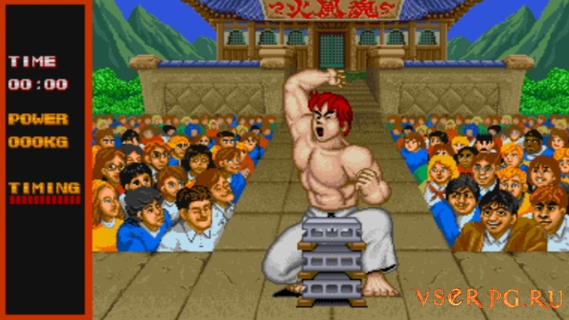 Street Fighter screen 2