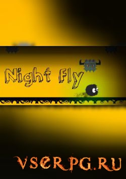  Night Fly